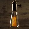 Teardrop Squirrel Cage Large Vintage Filament Light Bulb