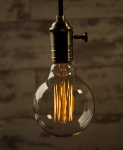 Large Globe Squirrel Cage Vintage Filament Light Bulb