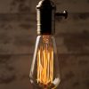 Teardrop Squirrel Cage Vintage Filament Light Bulb