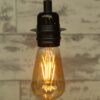 Medium Teardrop FIlament LED Light Bulb