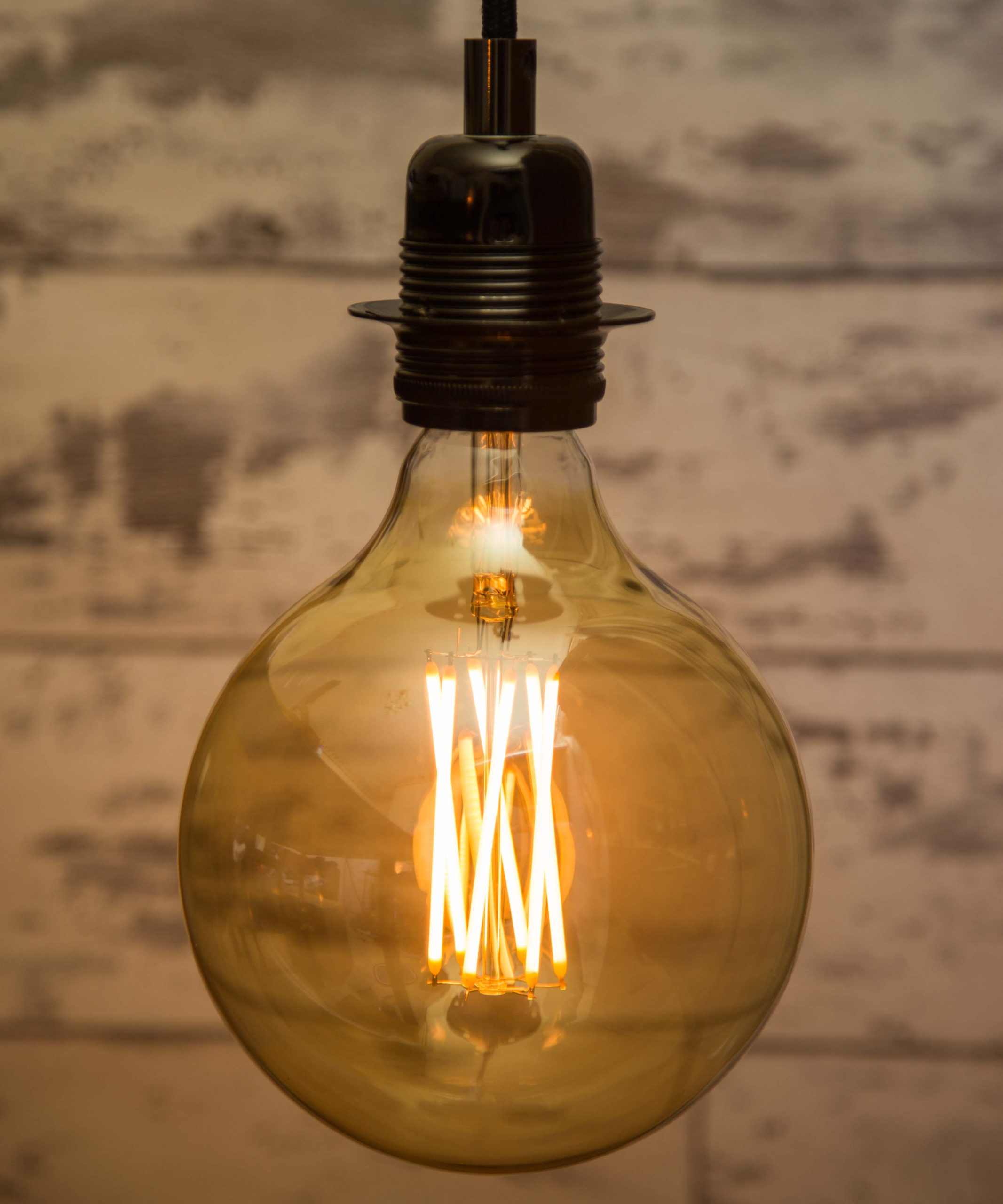 Extra Large Globe Filament Light Dimmable Long Life