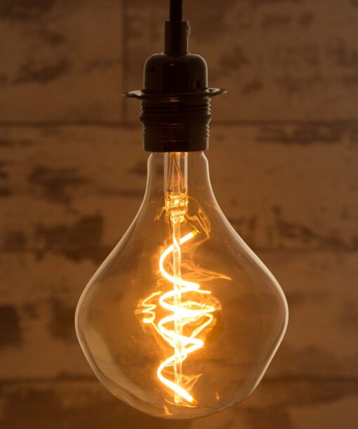 Wabi Sabi Sculpture Extra Large Spiral Filament LED Bulb