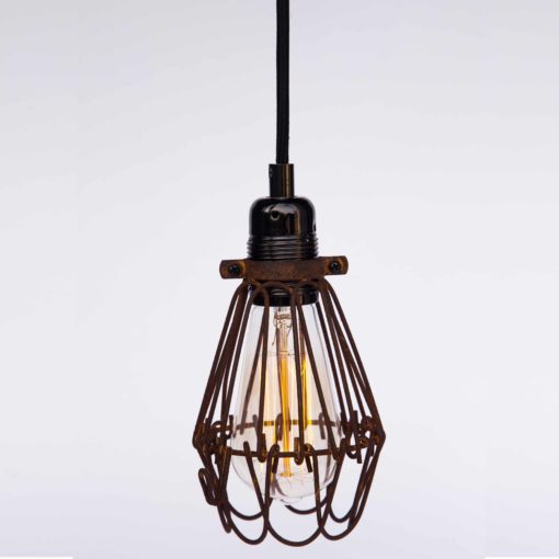 Rustic cage lamp hanging with Edison bulb