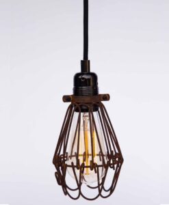 Rustic cage lamp hanging with Edison bulb